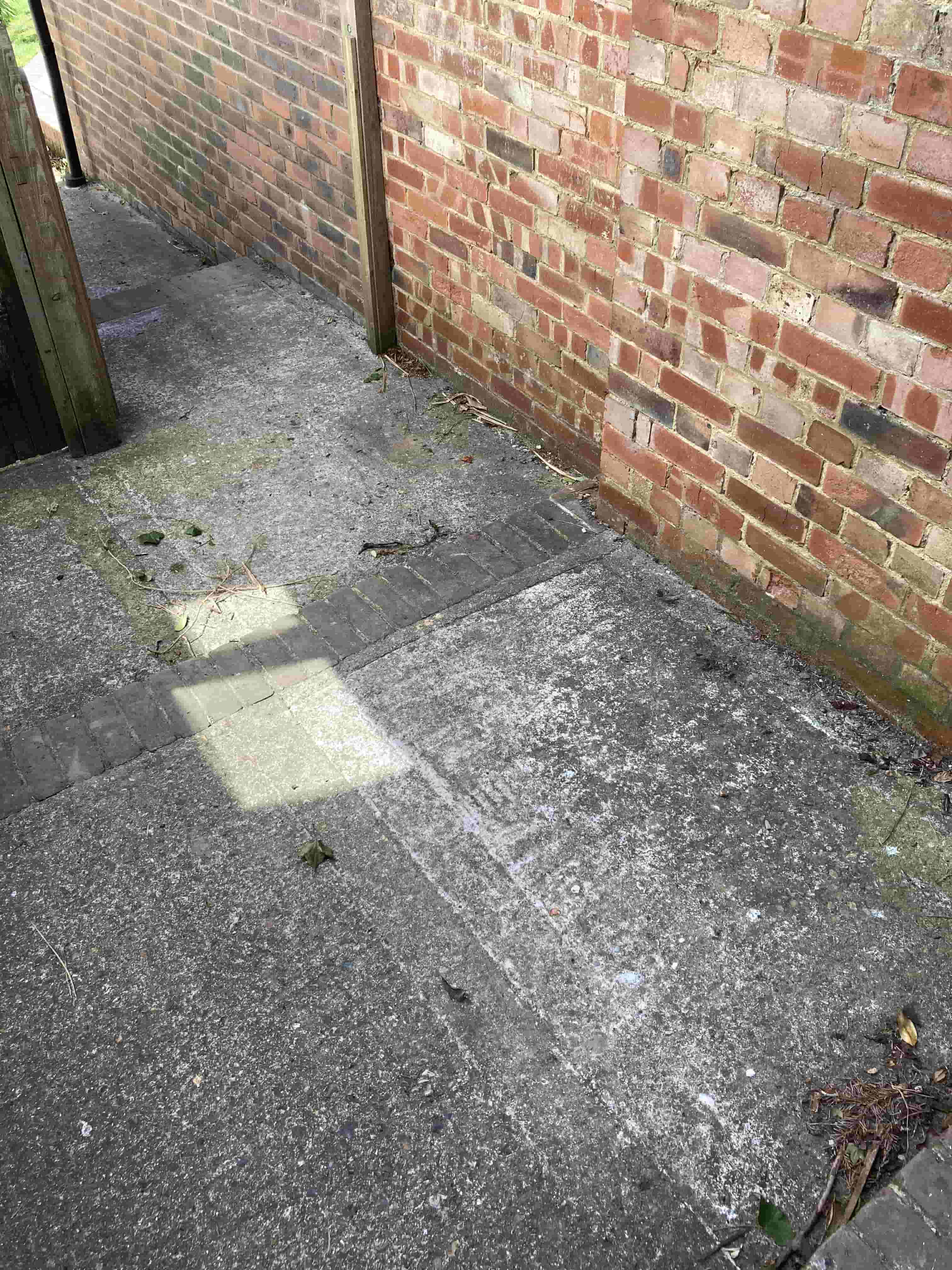 Concrete Path and Steps Before Cleaning Folkstone